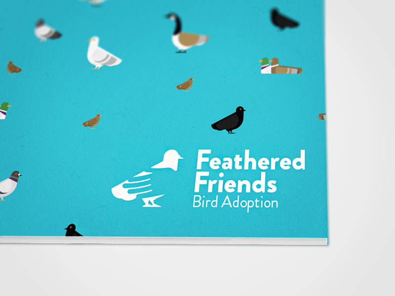 Feathered Friends Bird Adoption Brand Identity: Logo, Style Guide, and Stationery