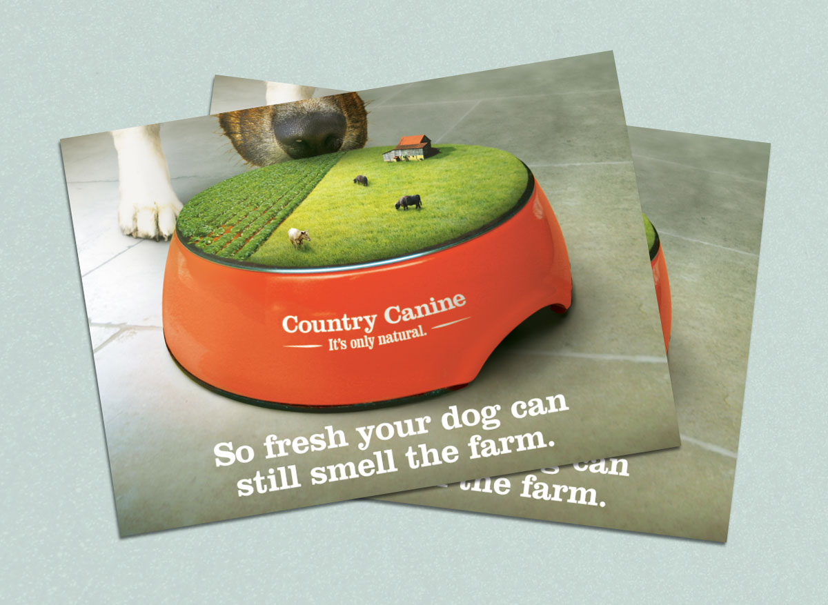 Country Canine Direct Mail Advertisement